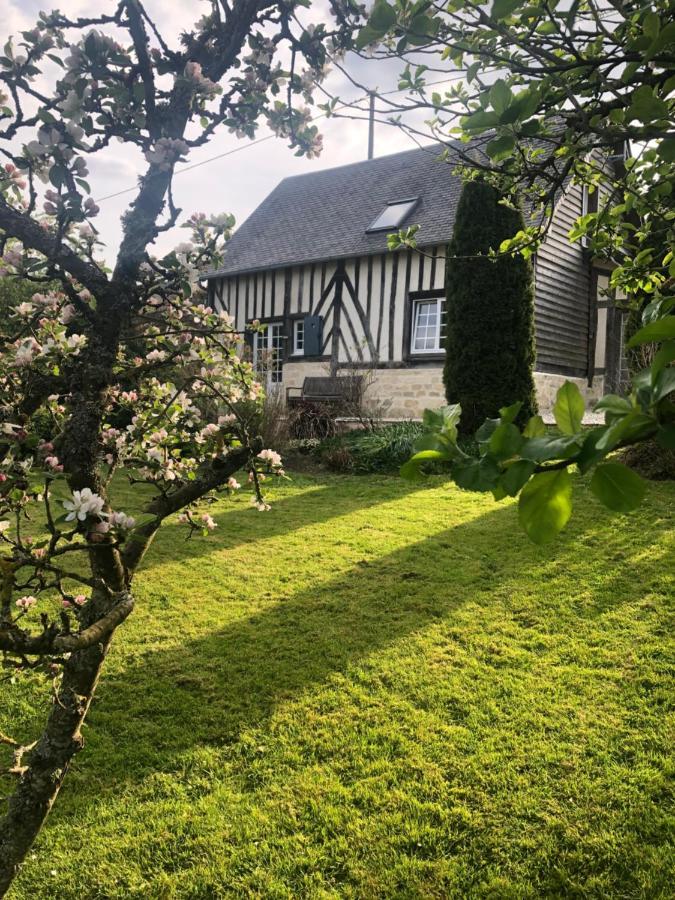 Gite 'Les Matins Calmes ' Cheffreville-Tonnencourt Exteriör bild