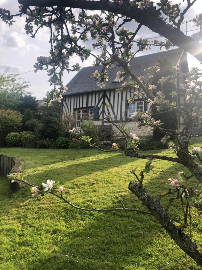 Gite 'Les Matins Calmes ' Cheffreville-Tonnencourt Exteriör bild